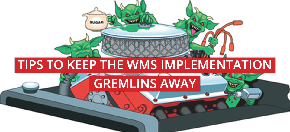 6 Tips To Keep the WMS Implementation Gremlins Away